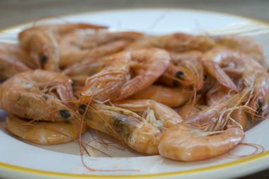 haşlanmış karides