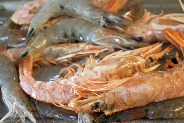 Prawns and shrimps raw and cooked — Stock Photo, Image