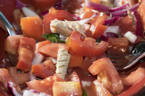 Salát s rajčaty a tuňákem — Stock fotografie