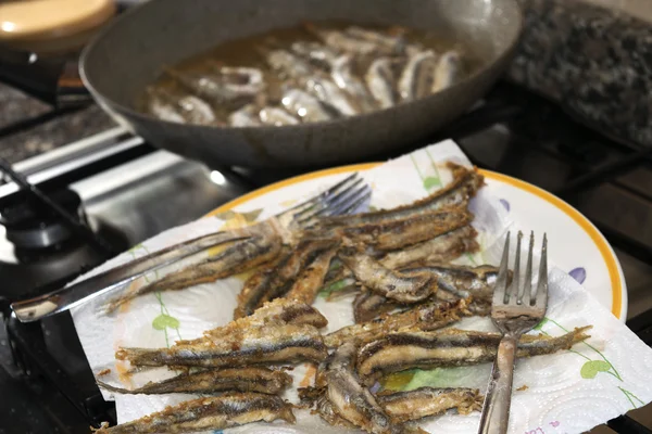 Alevines de anchoas —  Fotos de Stock