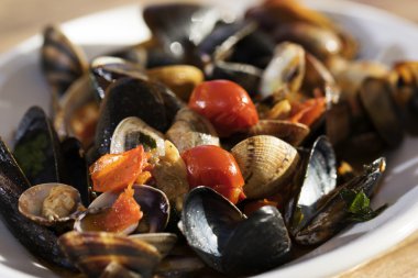 sauce for pasta allo scoglio