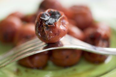 kavrulmuş pachino domates