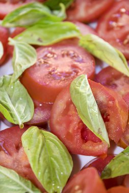 dilim taze domates ve fesleğen