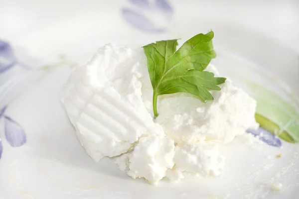 Fresh ricotta cheese — Stock Photo, Image