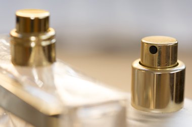 parfüm tarzı ve çekicilik