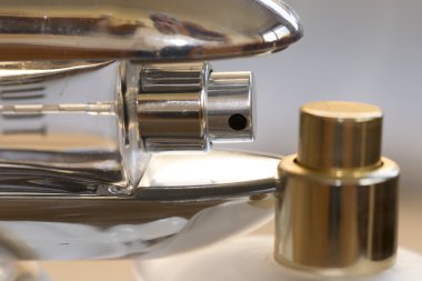 parfüm tarzı ve çekicilik