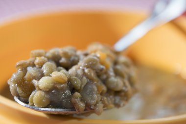 mercimek çorba, sebze suyu