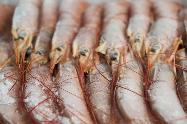 Frozen raw king prawns — Stock Photo, Image