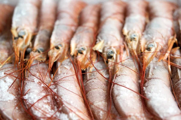 Frozen raw king prawns — Stock Photo, Image