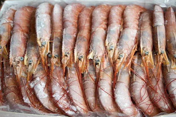 Frozen raw king prawns — Stock Photo, Image