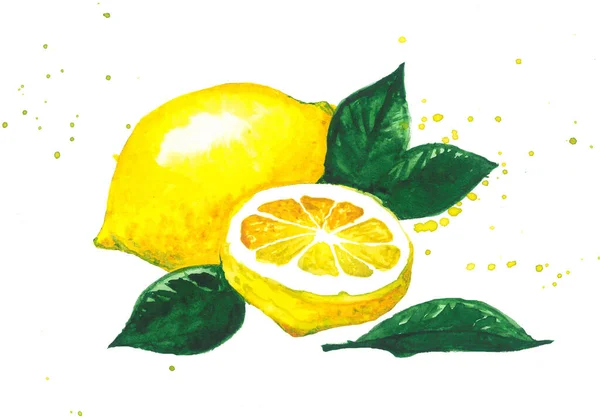 Frutta Fresca Limone Illustrazione Acquerello Botanico Limone Con Foglie Isolate — Foto Stock