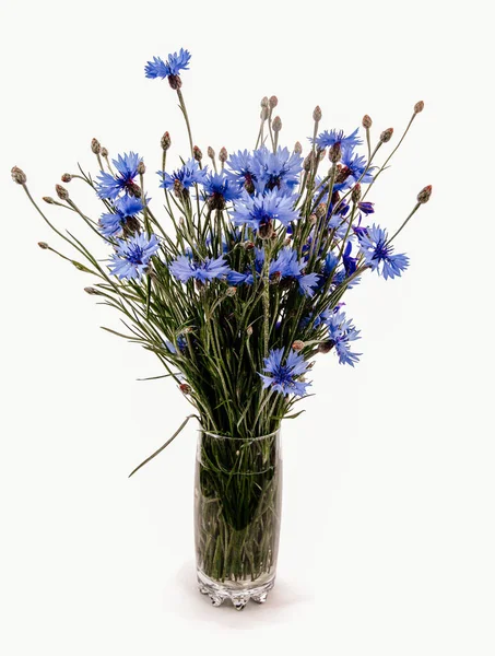 Beautiful Bouquet Cornflowers Vase Isolated White — Stock Photo, Image