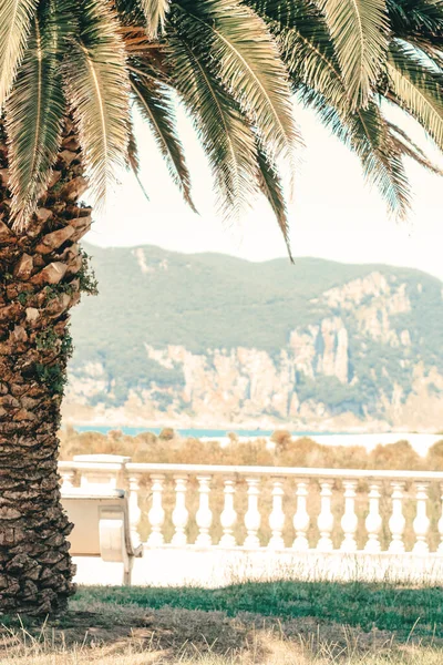 Beautiful landscape of ocean beach in Spain. Palm tree and ocean.