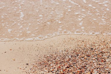 Arkaplanda kum, kabuk ve dalga var. 