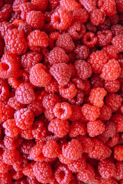 Framboise Fraîche Brillante Gros Plan Backround — Photo