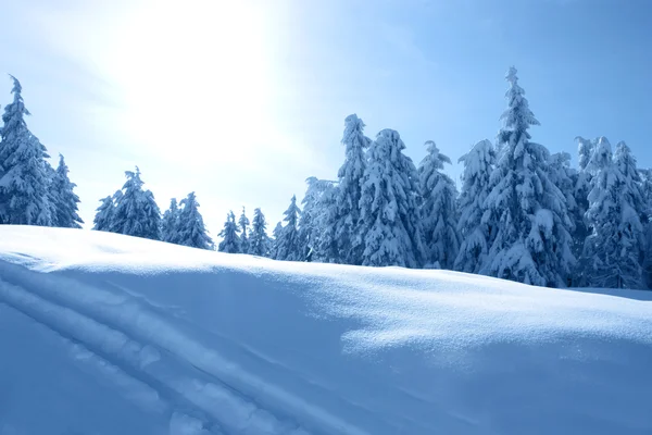 Зимний пейзаж в горах — стоковое фото