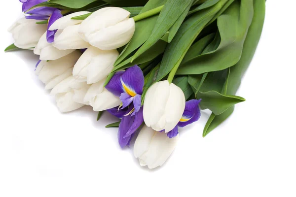 Spring tulips and iris flowers. — Stock Photo, Image