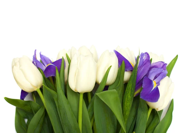 Spring tulips and iris flowers. — Stock Photo, Image