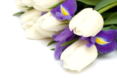 Bahar laleler ve Iris çiçekler.