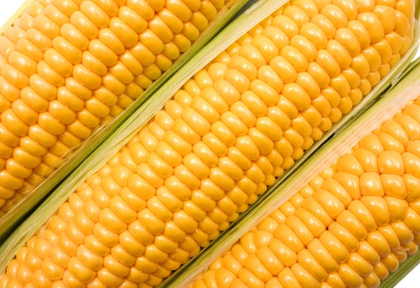 Öron av majs — Stockfoto