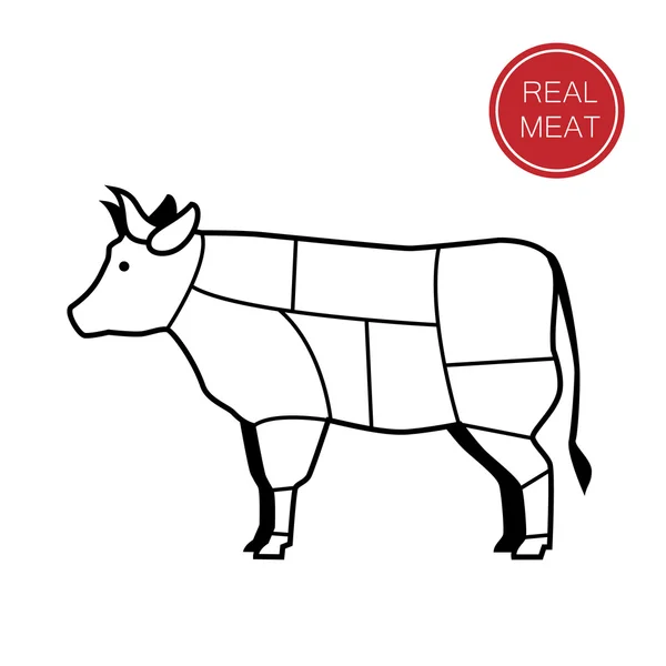 Carne real — Vector de stock