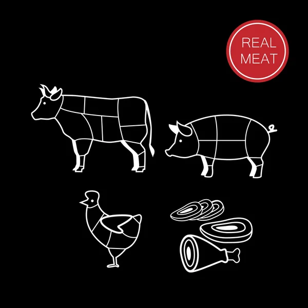 Carne verdadeira — Vetor de Stock