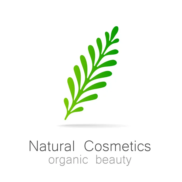 Natural cosmetics — Stock Vector