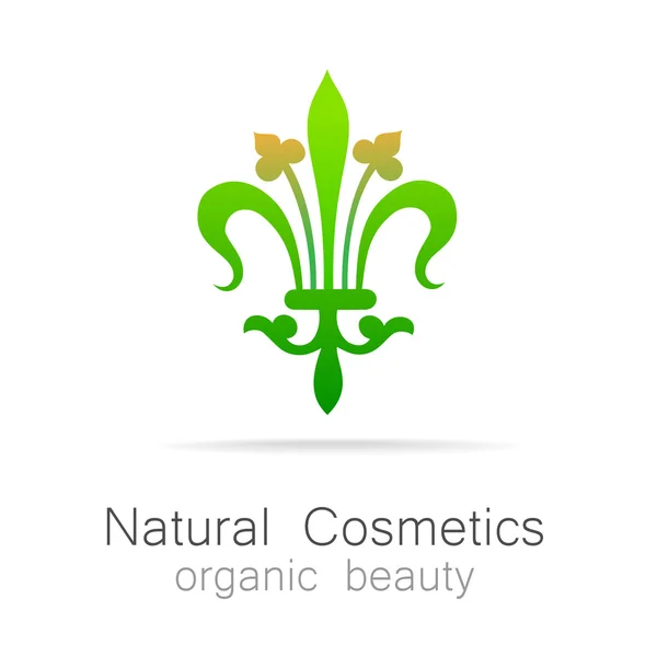 Produits cosmétiques naturels — Image vectorielle