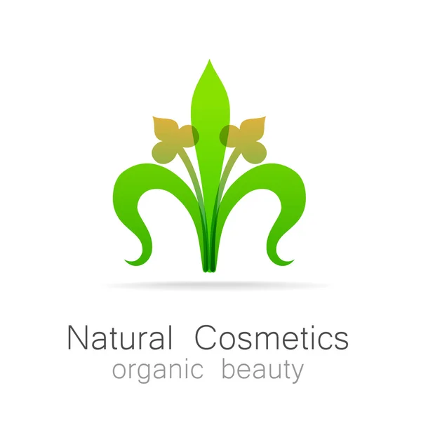 Natural cosmetics — Stock Vector