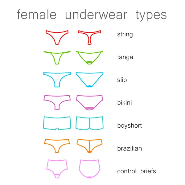 Female underwear types — Stock Vector