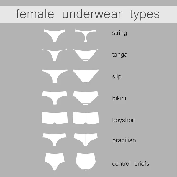 Female underwear types — Stock Vector