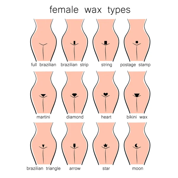 Female wax types — Stock Vector