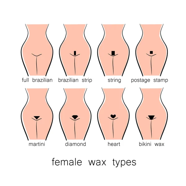 Typy žen vosku — Stockový vektor