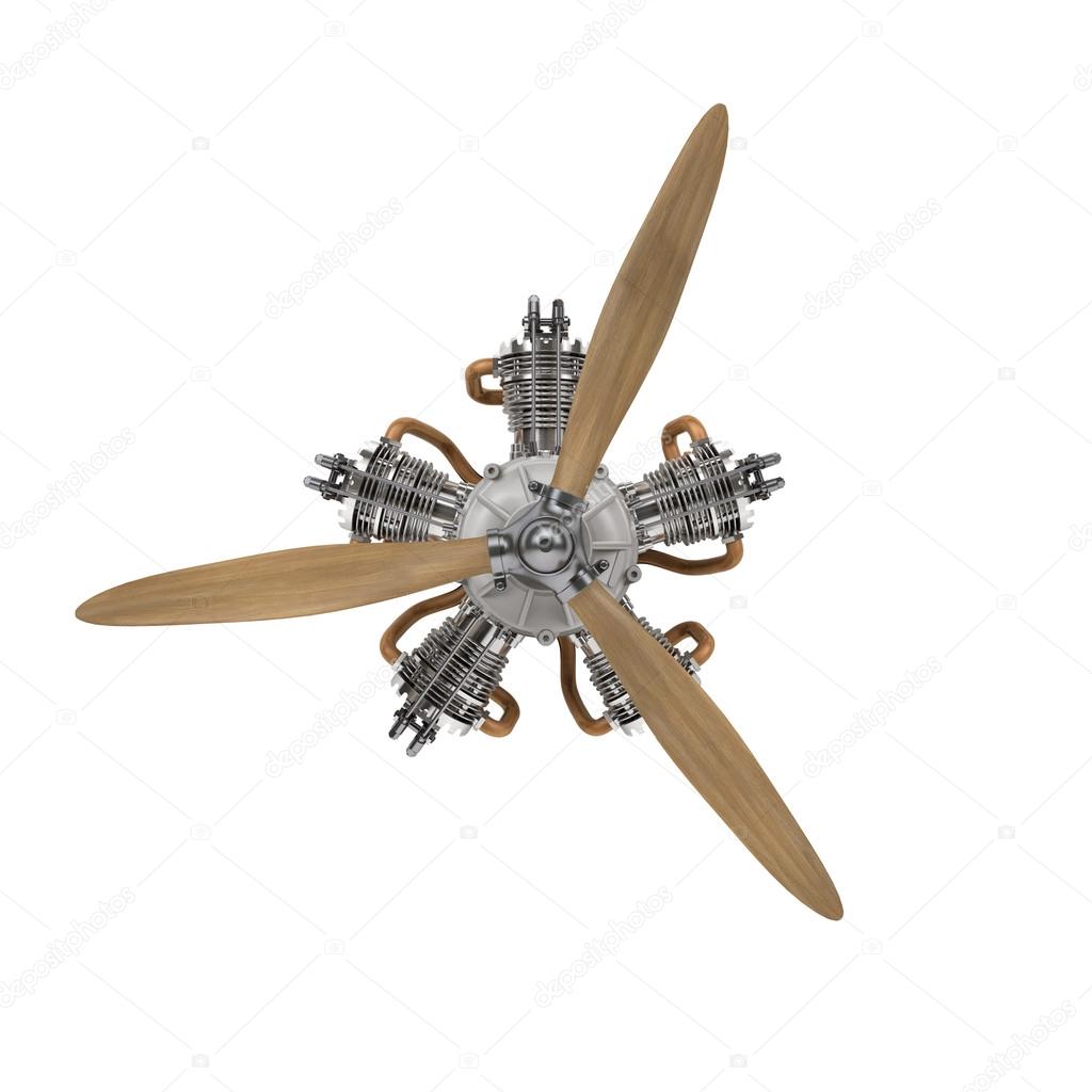 aircraft engine with propeller