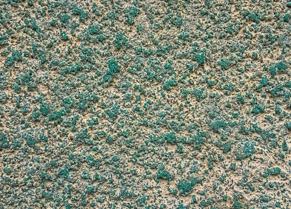 Zielony Melanż Cementu Teksturowane Tło Ścianie — Zdjęcie stockowe
