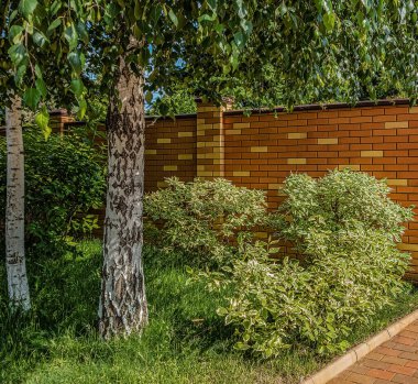 Yaz bahçesinde, turuncu tuğla çitlerin yanında yemyeşil yaprakları olan ağaçlar ve çalılar..