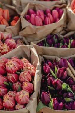 Çiçekçide, sıcak güneş ışığında kağıda sarılı renkli lale buketleri.