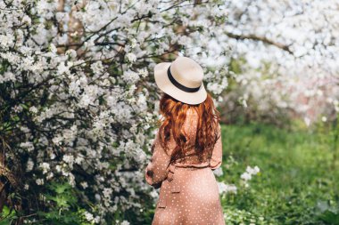 Genç, güzel, kızıl saçlı kız bahar çiçekli bir elma bahçesinde yürüyor. Boyama.