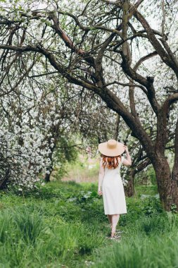Genç, güzel, kızıl saçlı kız bahar çiçekli bir elma bahçesinde yürüyor. Boyama.