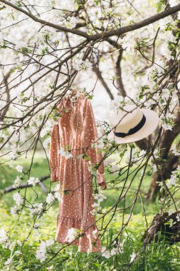 Elbise çiçek açan bir elma bahçesindeki bir ağaca asılı. Tonlama.