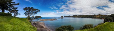 Matakana, Yeni Zelanda