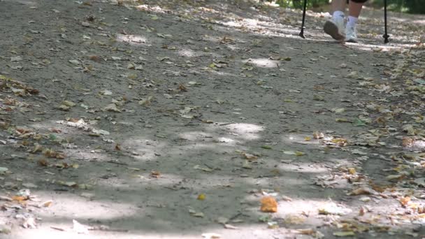 Caminar por el bosque con bastones — Vídeos de Stock