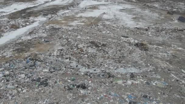 Trator bulldozer empurra lixo de uma montanha em uma lixeira da cidade — Vídeo de Stock
