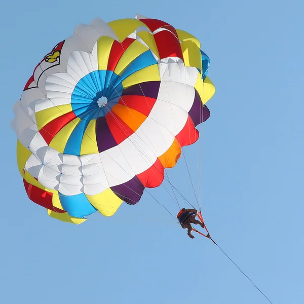 Parachutisme dans un ciel bleu — Photo