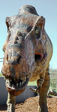  dinozor tyrannosaurus rex