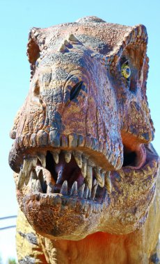  dinozor tyrannosaurus rex