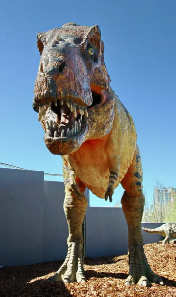 Dinoszaurusz tyrannosaurus rex — Stock Fotó