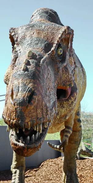 Динозавр тиранозавр Рекс — стоковое фото