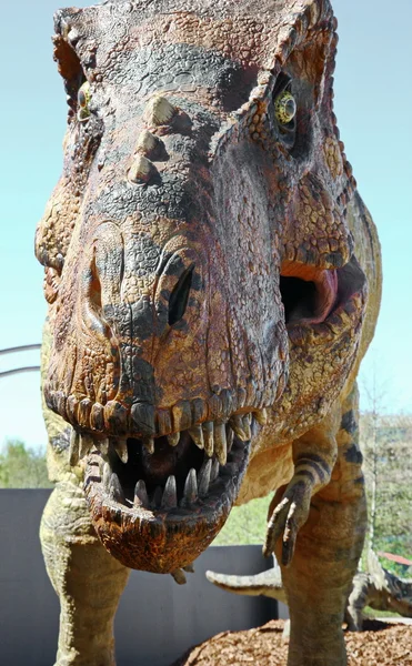 Dinozaurów tyrannosaurus rex Obrazek Stockowy