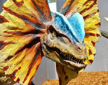 dinozor gerçekçi bir model 